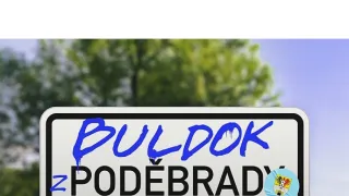 Buldok z Poděbrad (6)