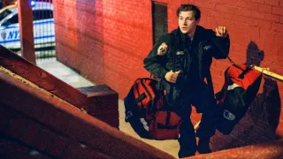 Asfaltová džungľa