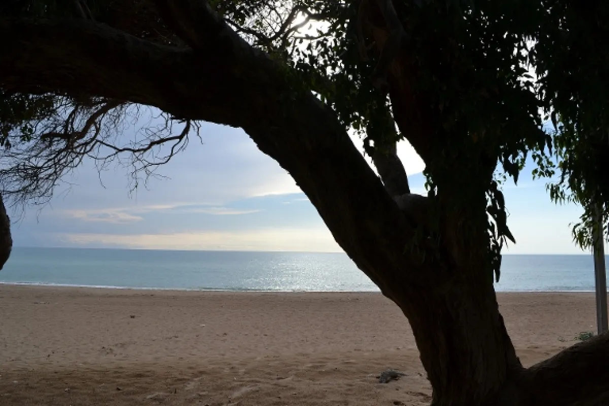 Postřehy odjinud - fotogaléria