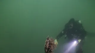 Loď, která změnila svět