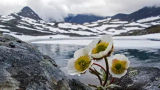 Laponsko: Příběh spících obrů