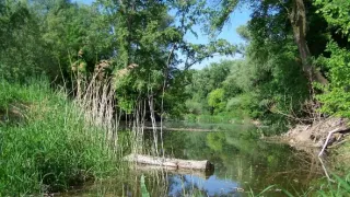 Ostrov Žitný už nie je taký pitný