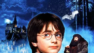 Harry Potter a Kámen mudrců