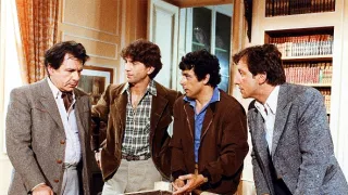 Stepující stonožka