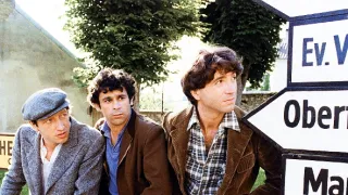 Stepující stonožka