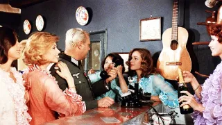 Stepující stonožka