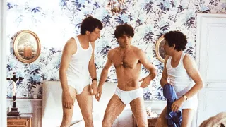 Stepující stonožka