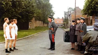 Stepující stonožka