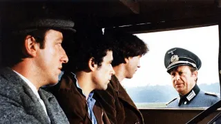 Stepující stonožka