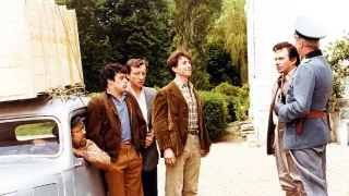 Stepující stonožka