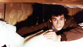 Stepující stonožka