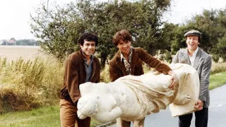 Stepující stonožka