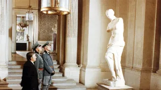 Stepující stonožka