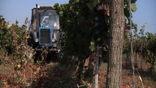 Na cestě po jižním Moldavsku