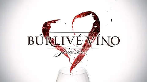 Búrlivé víno V (15)