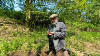 Záhady Toma Wizarda