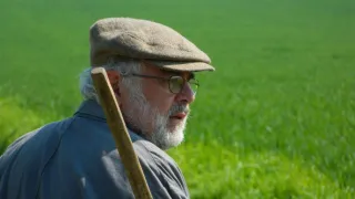 Záhady Toma Wizarda