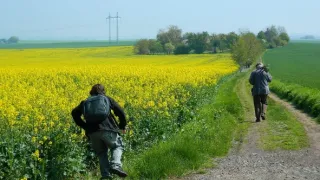 Záhady Toma Wizarda