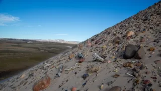 Lov na nejstarší DNA