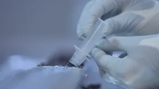 Lov na nejstarší DNA