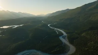 Lov na nejstarší DNA