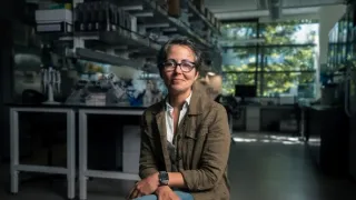 Lov na nejstarší DNA