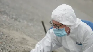 Lov na nejstarší DNA