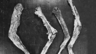 Sériový vrah v Paříži