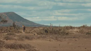 Pozoruhodná gepardí rodinka (3/3)