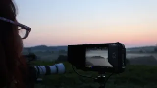 Tajemný svět luk