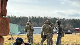 Tulene kužeľozubé na novej životnej púti