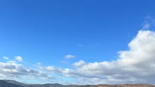 Tulene kužeľozubé na novej životnej púti