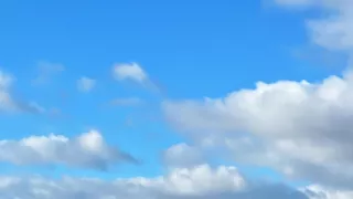 Tulene kužeľozubé na novej životnej púti