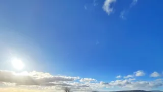 Tulene kužeľozubé na novej životnej púti