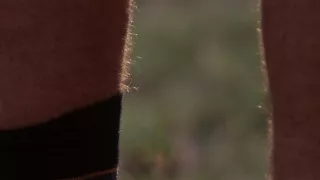 Zázračná planeta: Dynastie II (1/6)