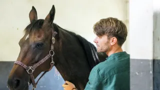 O lidech a koních (7)