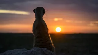 Zázračná planeta: Dynastie II (1/6)