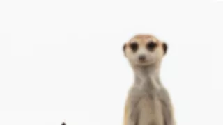 Zázračná planeta: Dynastie II (1/6)