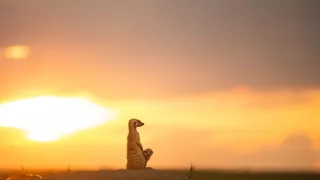 Zázračná planeta: Dynastie II (1/6)