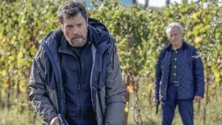 Signora Volpe II (3/3)