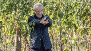 Signora Volpe II (3/3)