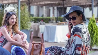 Signora Volpe II (3/3)