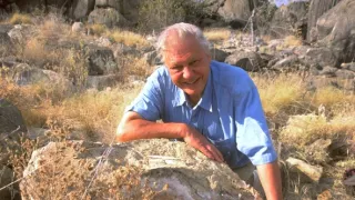 David Attenborough: Život savců (3)