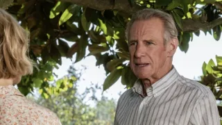 Signora Volpe II (3/3)