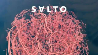 Fascinujúce sociálne siete nášho tela