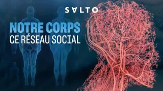 Fascinujúce sociálne siete nášho tela