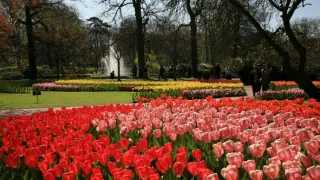 Na cestě po Holandsku