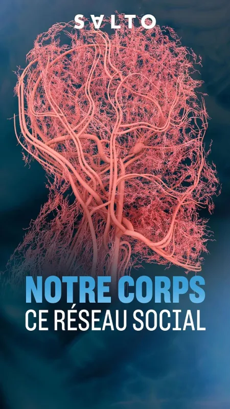 Fascinujúce sociálne siete nášho tela, 2020 - fotogaléria