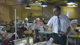 Kanadská soda V (13/14)