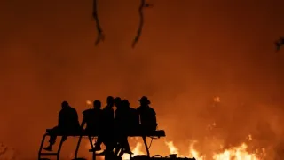 Zázračná planeta: Velké kočky ve dne v noci (1/6)